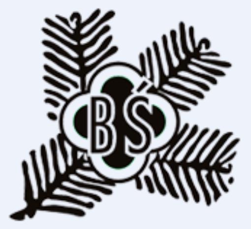 bs logo